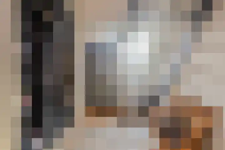 De Banier 25 Swifterbant thumbnail 5