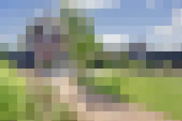 de Bank 22 Winterswijk thumbnail 37