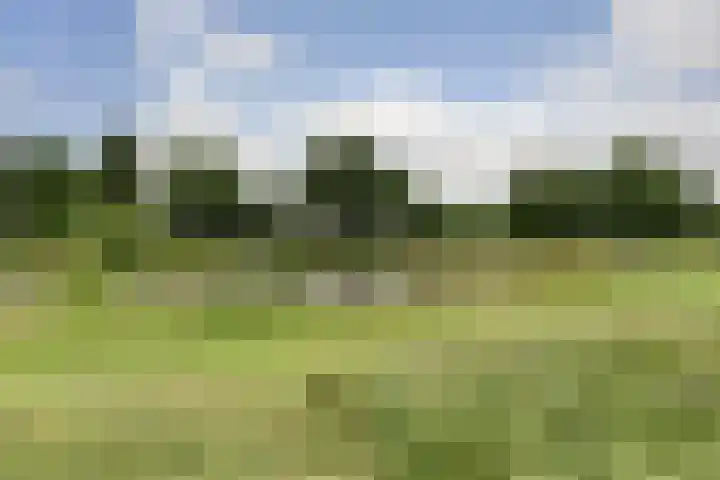 de Bank 22 Winterswijk thumbnail 43
