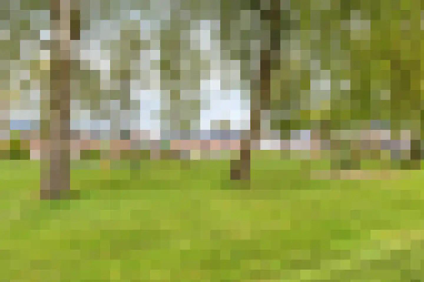 De Bank 29 Drachten thumbnail 34