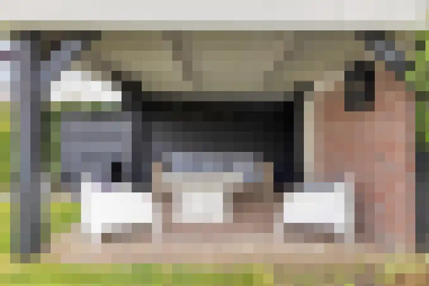 de Bank 3 Winterswijk thumbnail 35