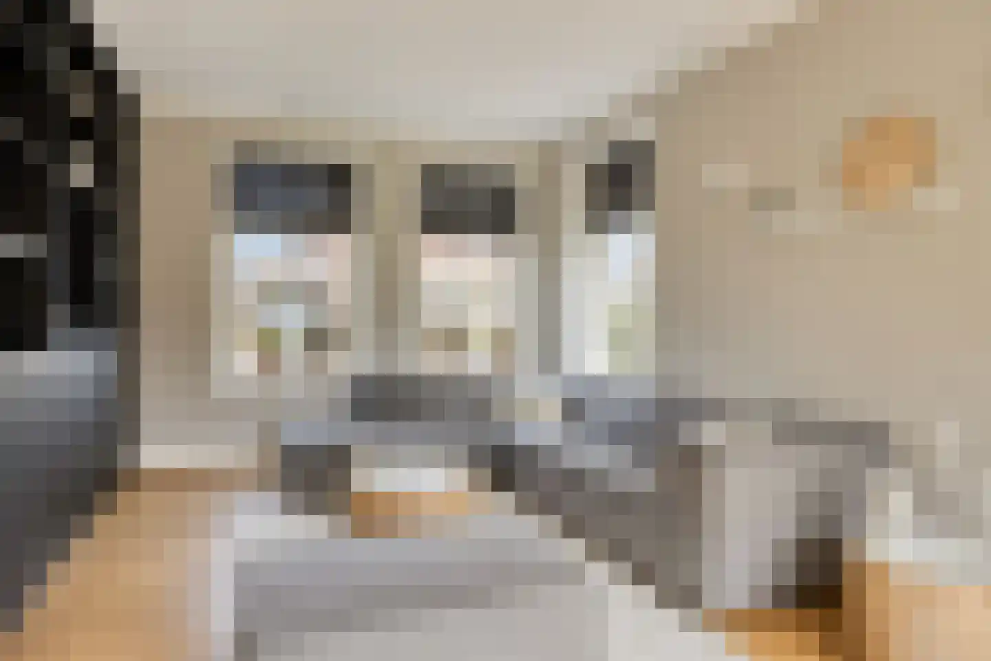 de Bank 3 Winterswijk thumbnail 9