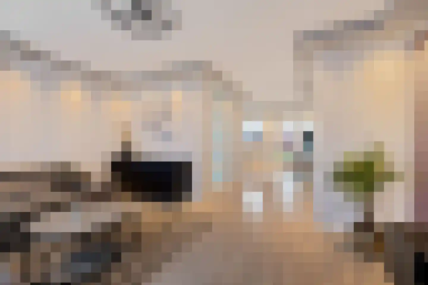 De Bank 31 Drachten thumbnail 22