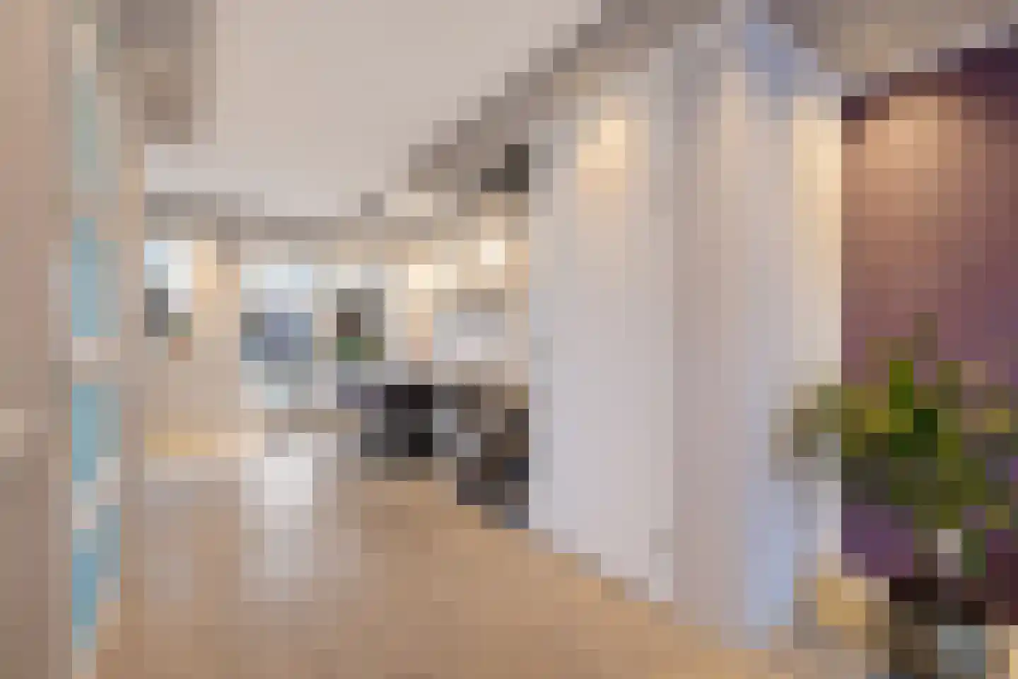 De Bank 31 Drachten thumbnail 23