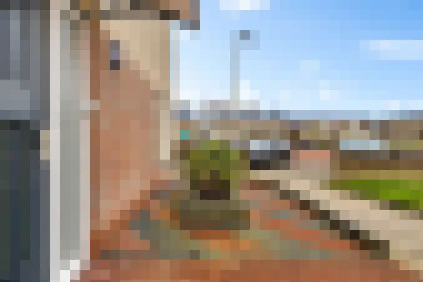 De Bank 31 Drachten thumbnail 4