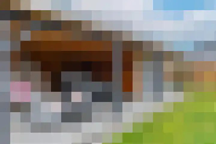 de Bank 6 Winterswijk thumbnail 53