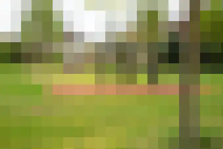 de Bank 6 Winterswijk thumbnail 55