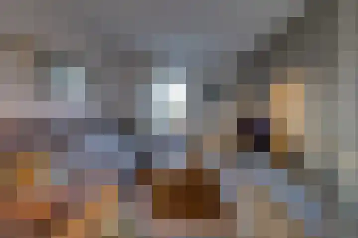 De Banken 31 Zwartemeer thumbnail 14