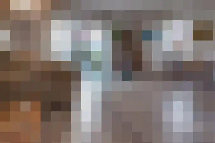 De Banken 31 Zwartemeer thumbnail 17