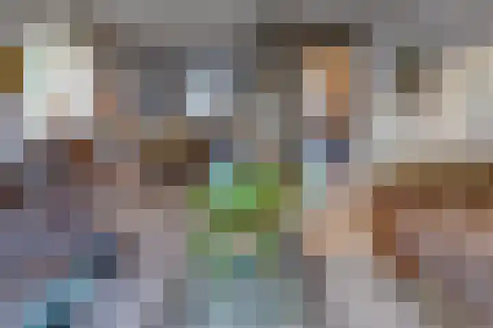 De Banken 31 Zwartemeer thumbnail 18