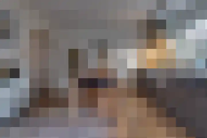 De Banken 31 Zwartemeer thumbnail 21
