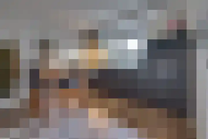 De Banken 31 Zwartemeer thumbnail 22