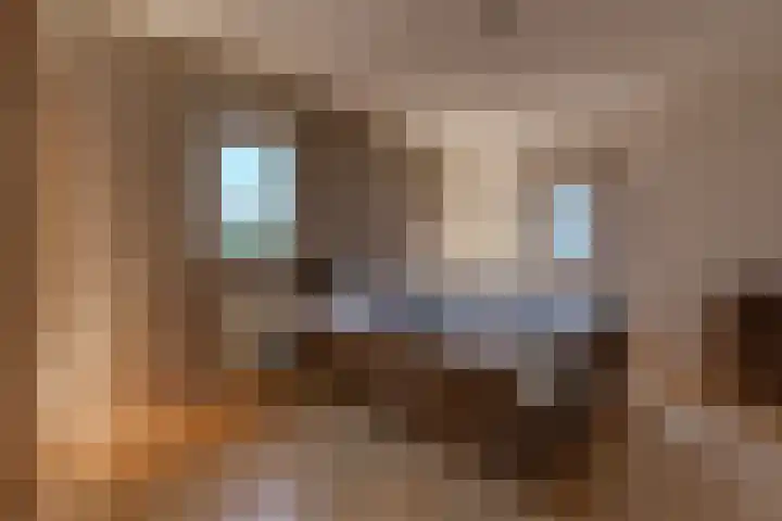 De Banken 31 Zwartemeer thumbnail 28