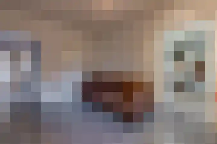 De Banken 31 Zwartemeer thumbnail 30