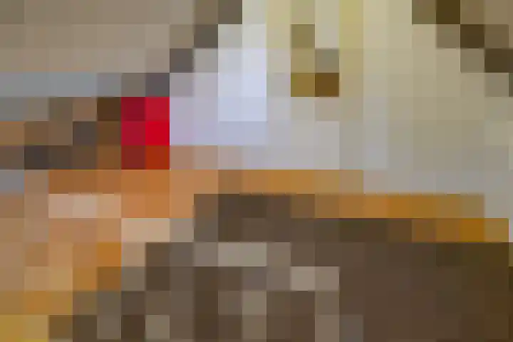 De Banken 31 Zwartemeer thumbnail 32
