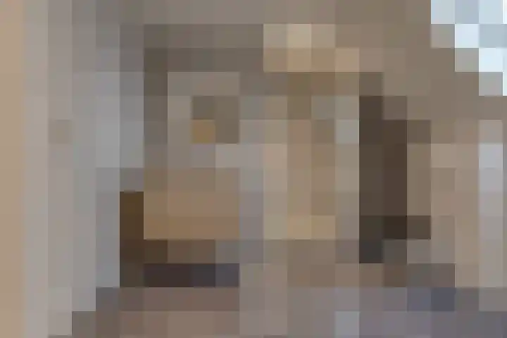 De Banken 31 Zwartemeer thumbnail 37