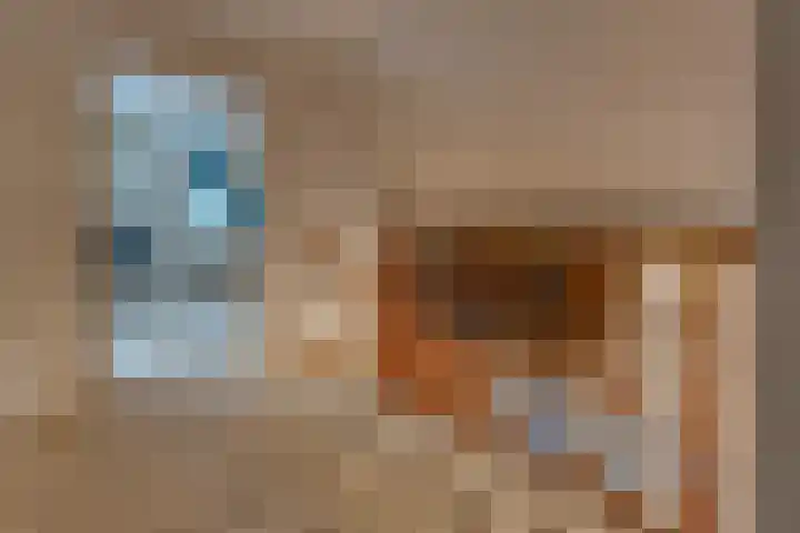 De Banken 31 Zwartemeer thumbnail 38
