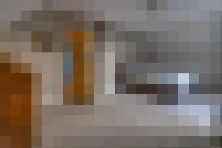 De Banken 31 Zwartemeer thumbnail 39