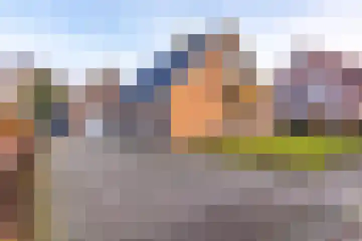 De Banken 31 Zwartemeer thumbnail 4