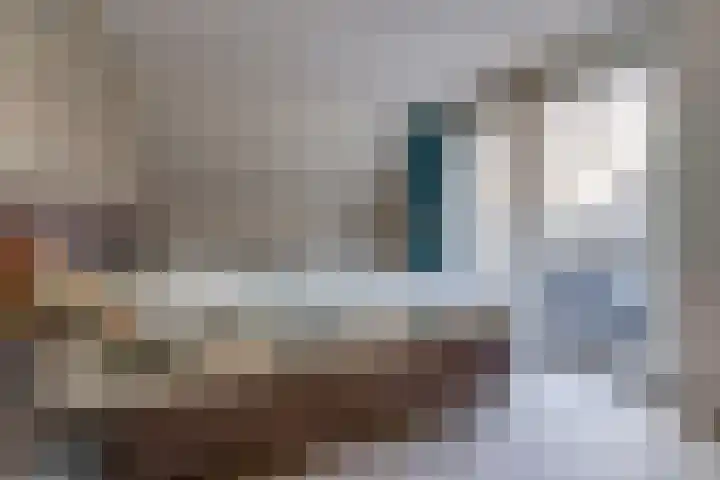 De Banken 31 Zwartemeer thumbnail 40