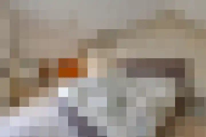 De Banken 31 Zwartemeer thumbnail 41