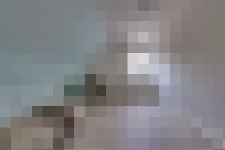 De Banken 31 Zwartemeer thumbnail 42