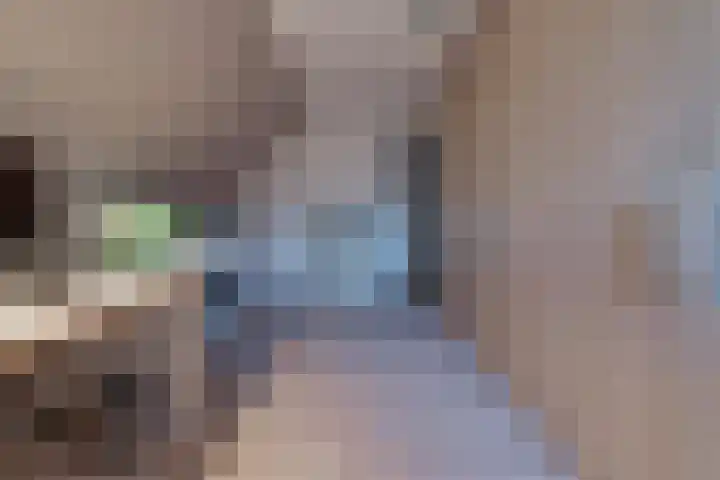 De Banken 31 Zwartemeer thumbnail 45