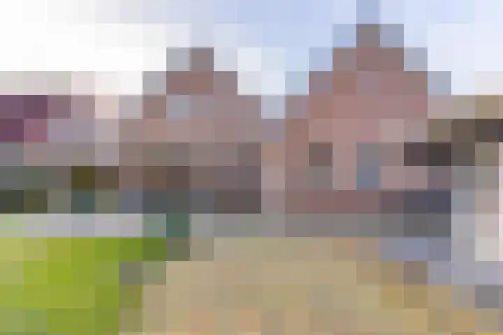 De Banken 31 Zwartemeer thumbnail 46