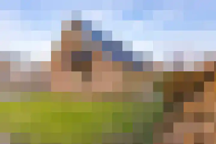 De Banken 31 Zwartemeer thumbnail 6