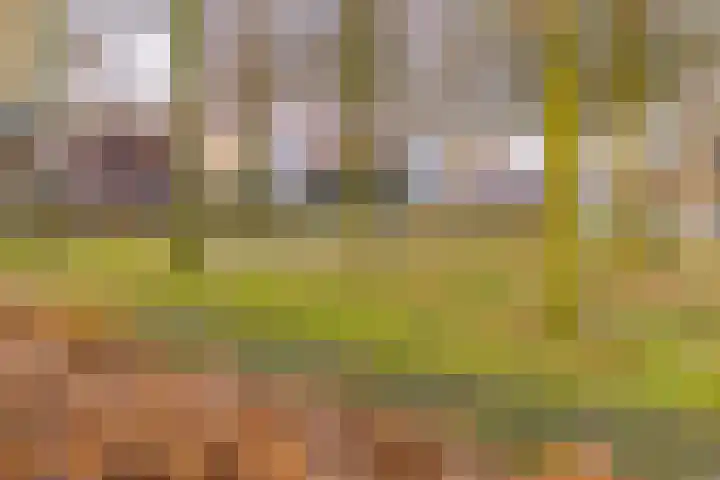 De Banken 31 Zwartemeer thumbnail 8