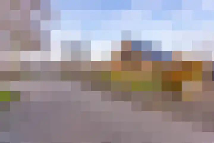 De Banken 31 Zwartemeer thumbnail 9