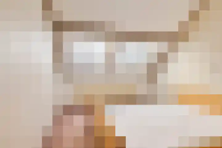 De Banken 38 Zwartemeer thumbnail 13
