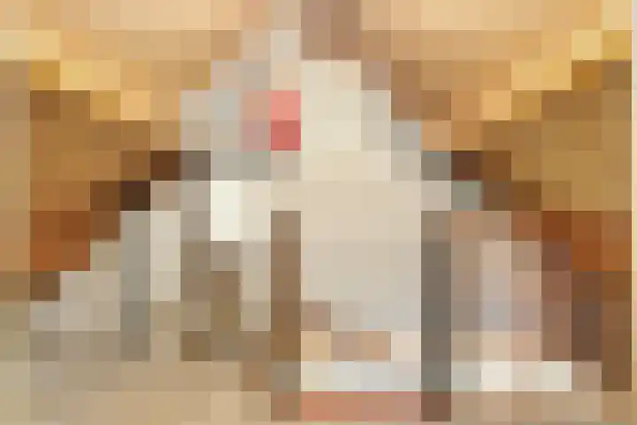 De Banken 38 Zwartemeer thumbnail 15