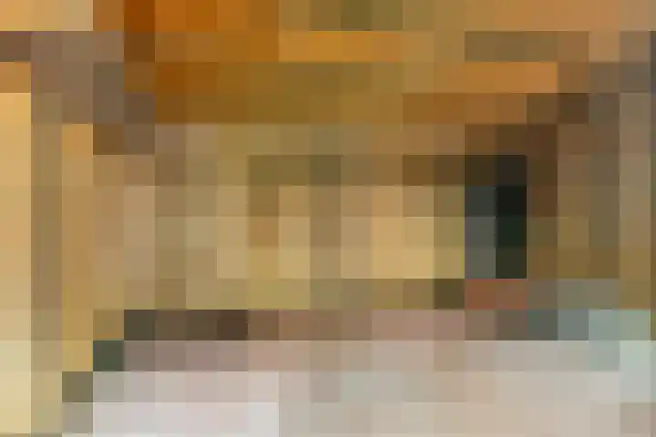 De Banken 38 Zwartemeer thumbnail 20