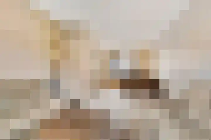 De Banken 38 Zwartemeer thumbnail 4