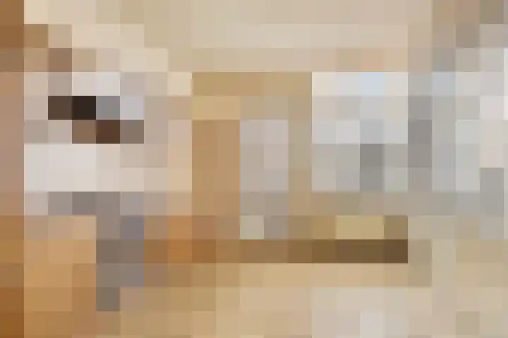 De Banken 38 Zwartemeer thumbnail 5