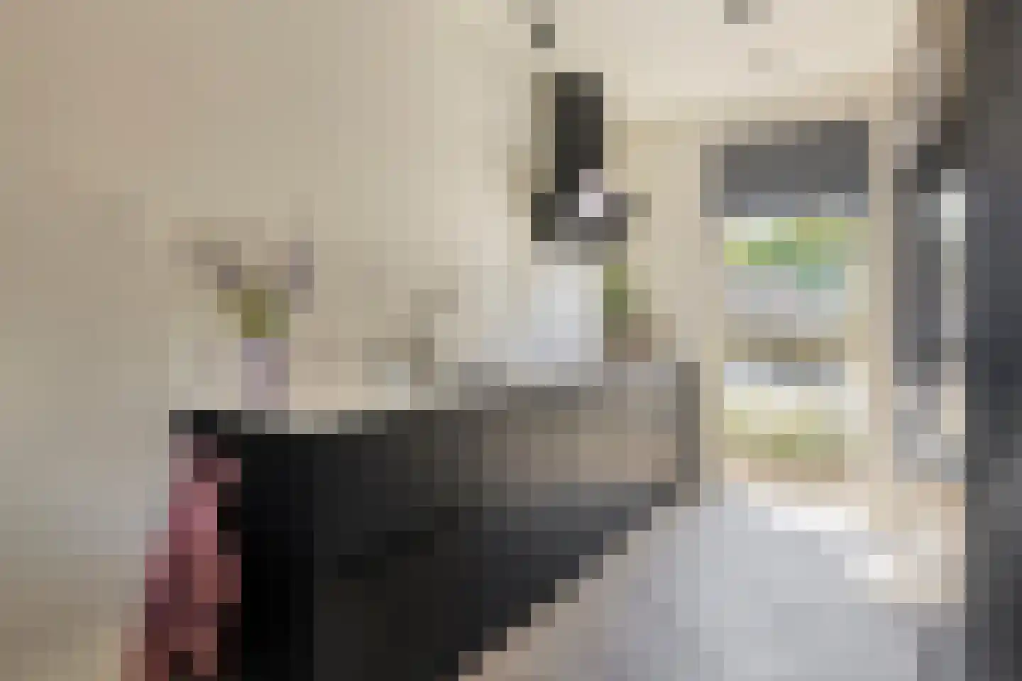 De Banne 83 Blokker thumbnail 17