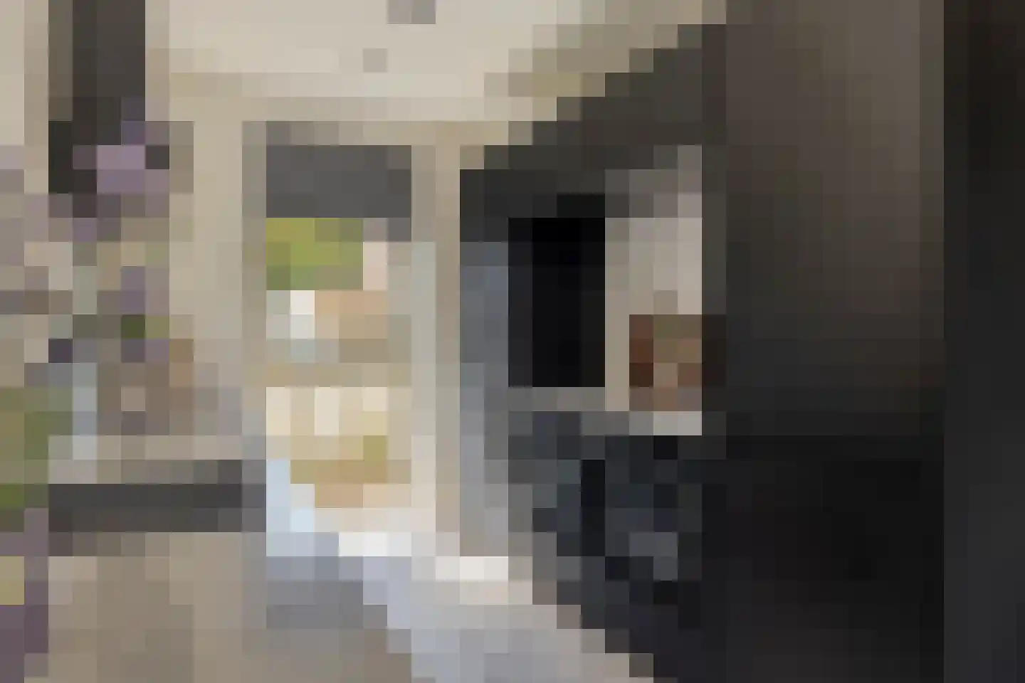 De Banne 83 Blokker thumbnail 18
