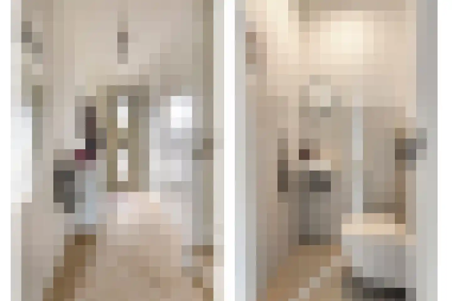 De Banne 83 Blokker thumbnail 7