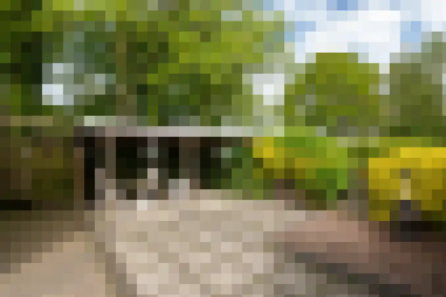 De Banten 2 Sebaldeburen thumbnail 18
