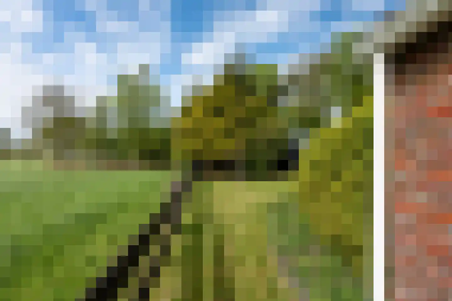 De Banten 2 Sebaldeburen thumbnail 23
