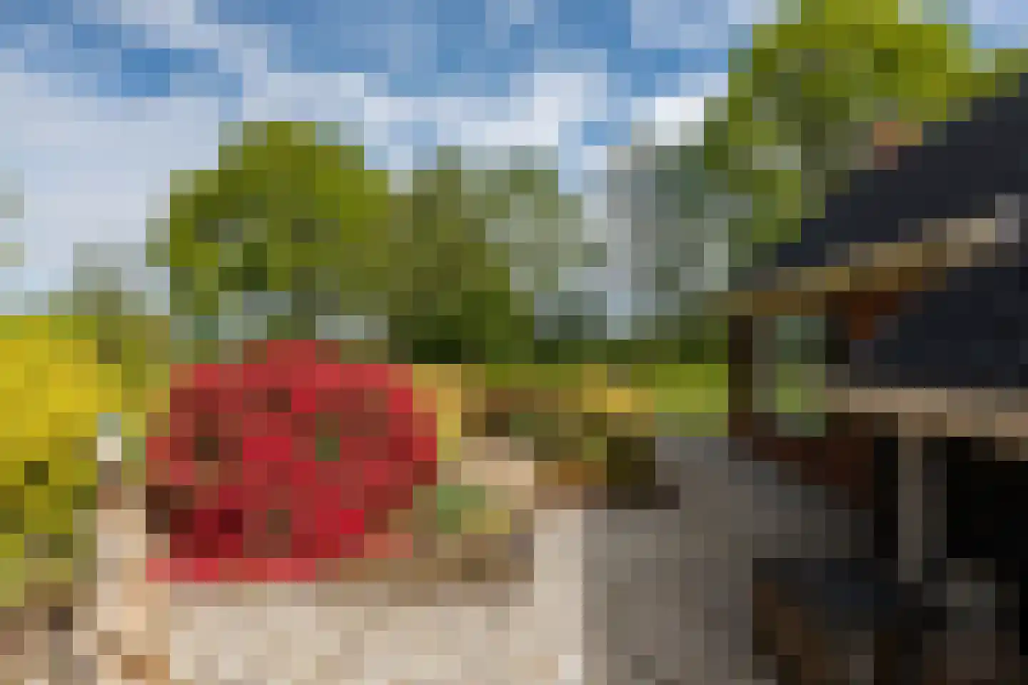 De Banten 2 Sebaldeburen thumbnail 25