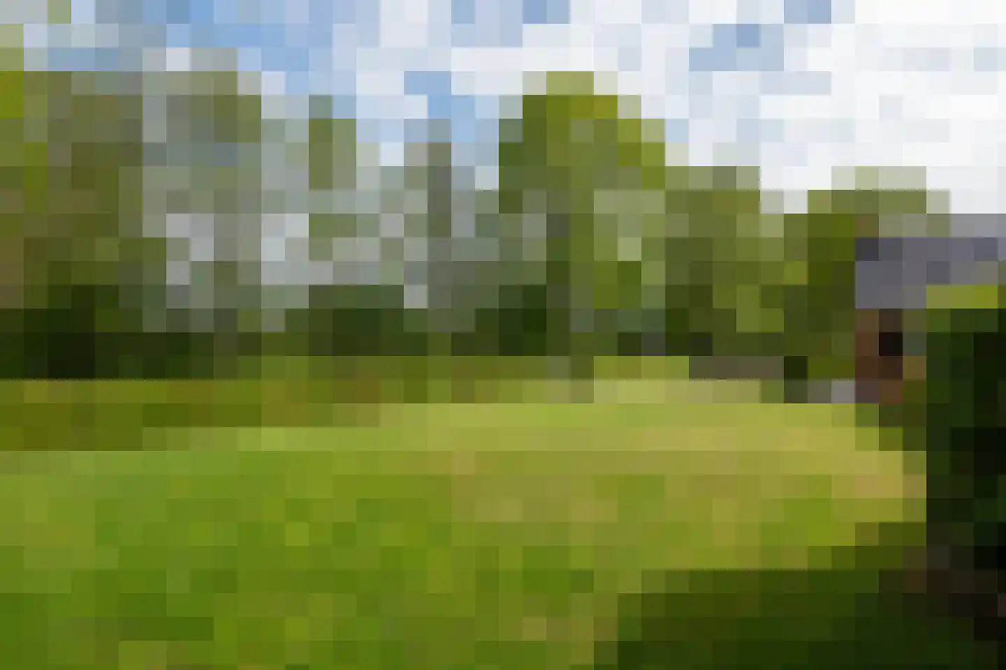 De Banten 2 Sebaldeburen thumbnail 27