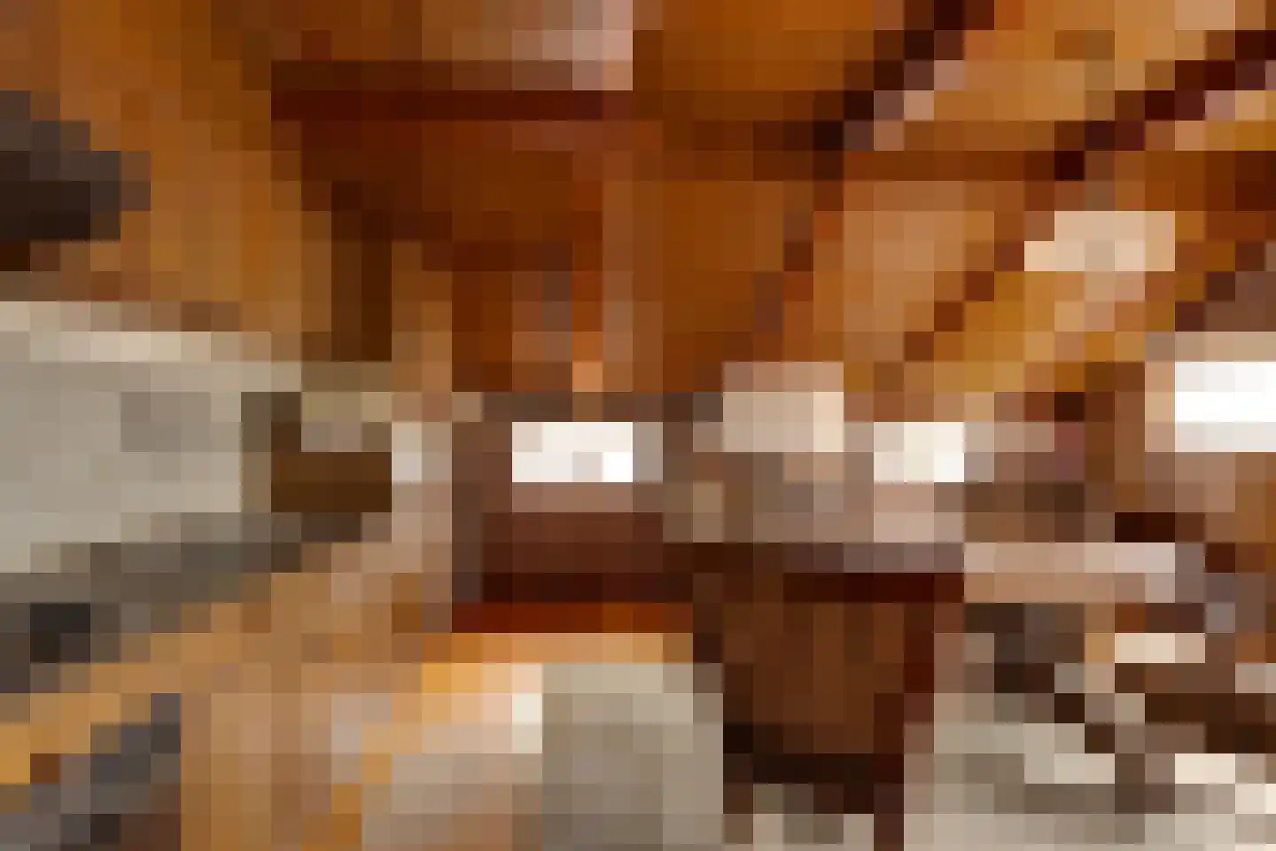 De Banten 2 Sebaldeburen thumbnail 32