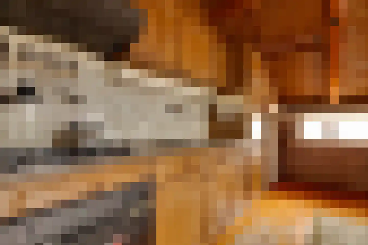 De Banten 2 Sebaldeburen thumbnail 34