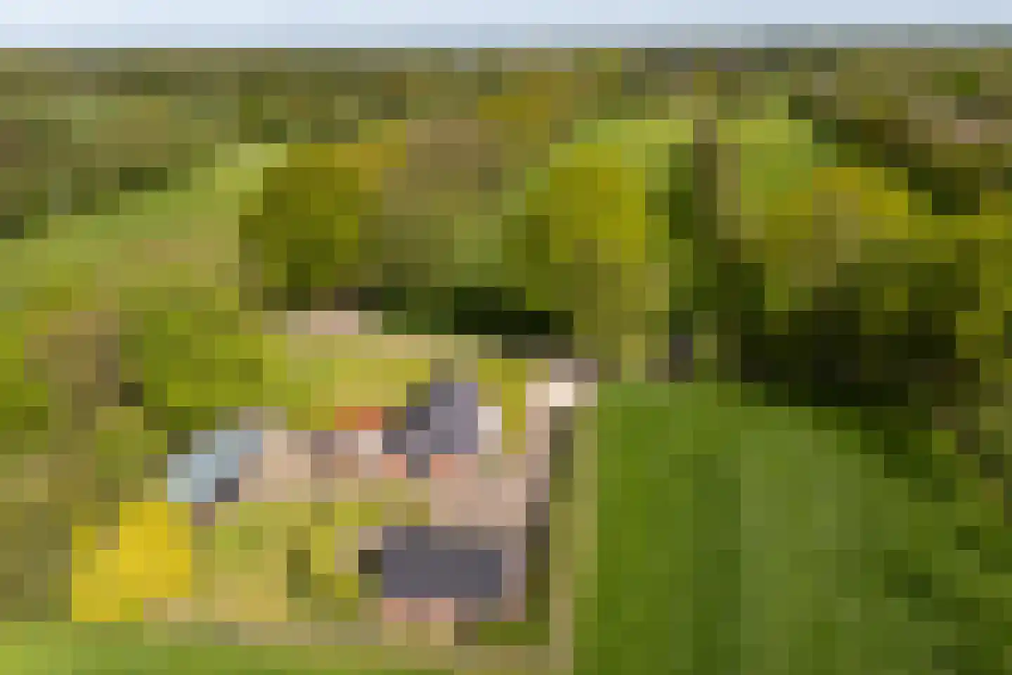 De Banten 2 Sebaldeburen thumbnail 45