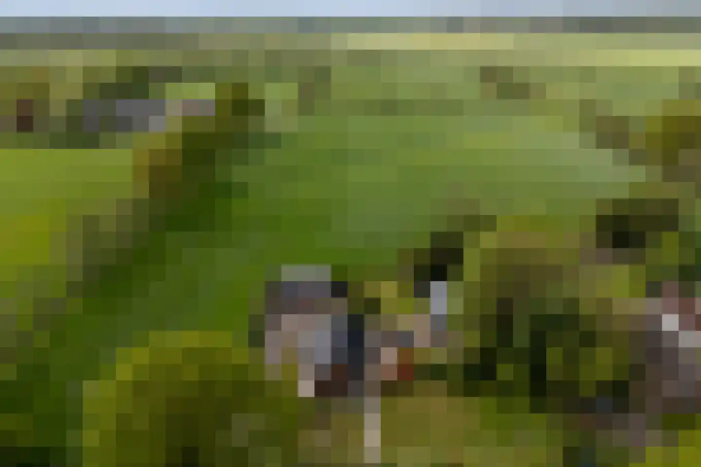 De Banten 2 Sebaldeburen thumbnail 46