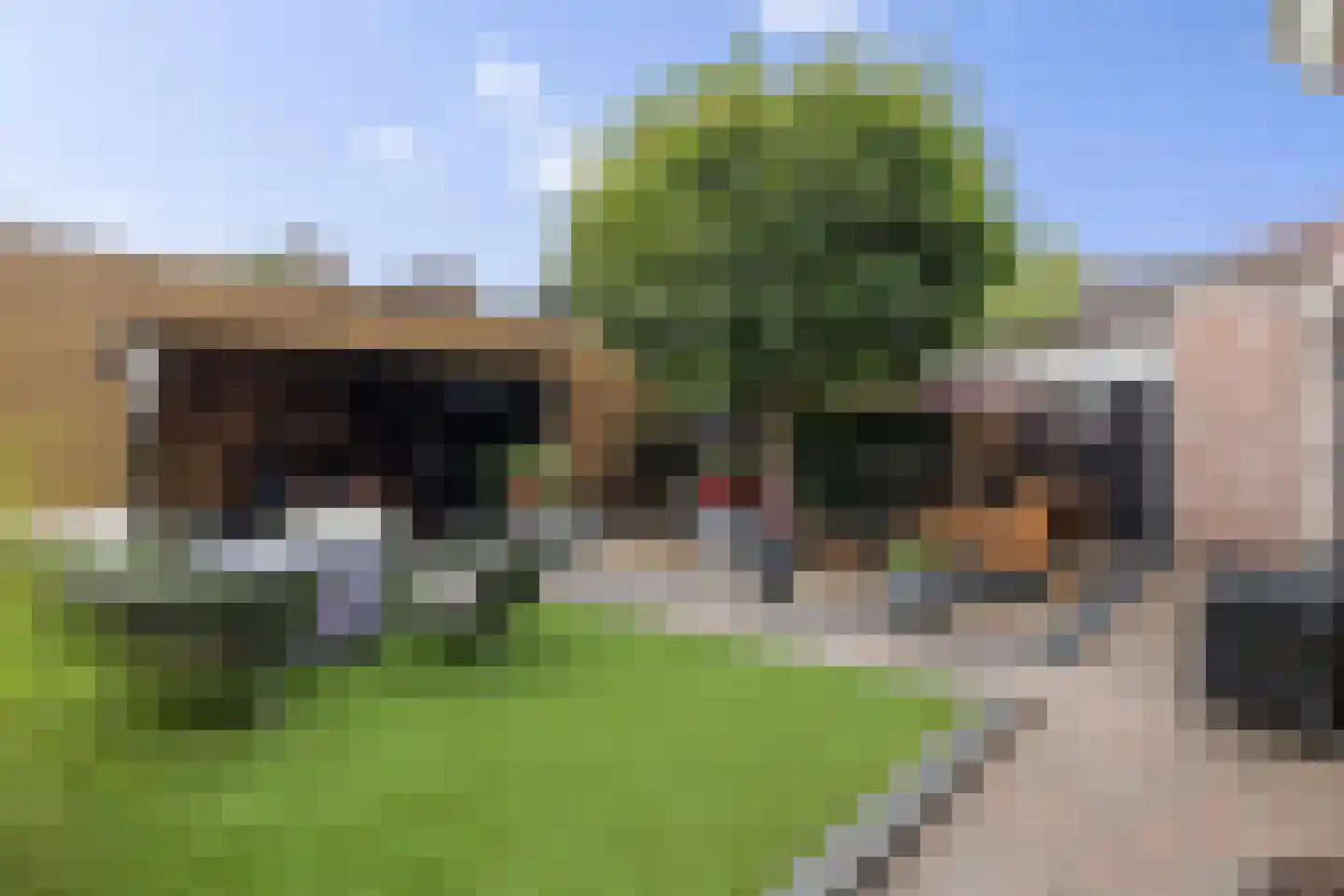 De Bargies 21 Emmen thumbnail 45