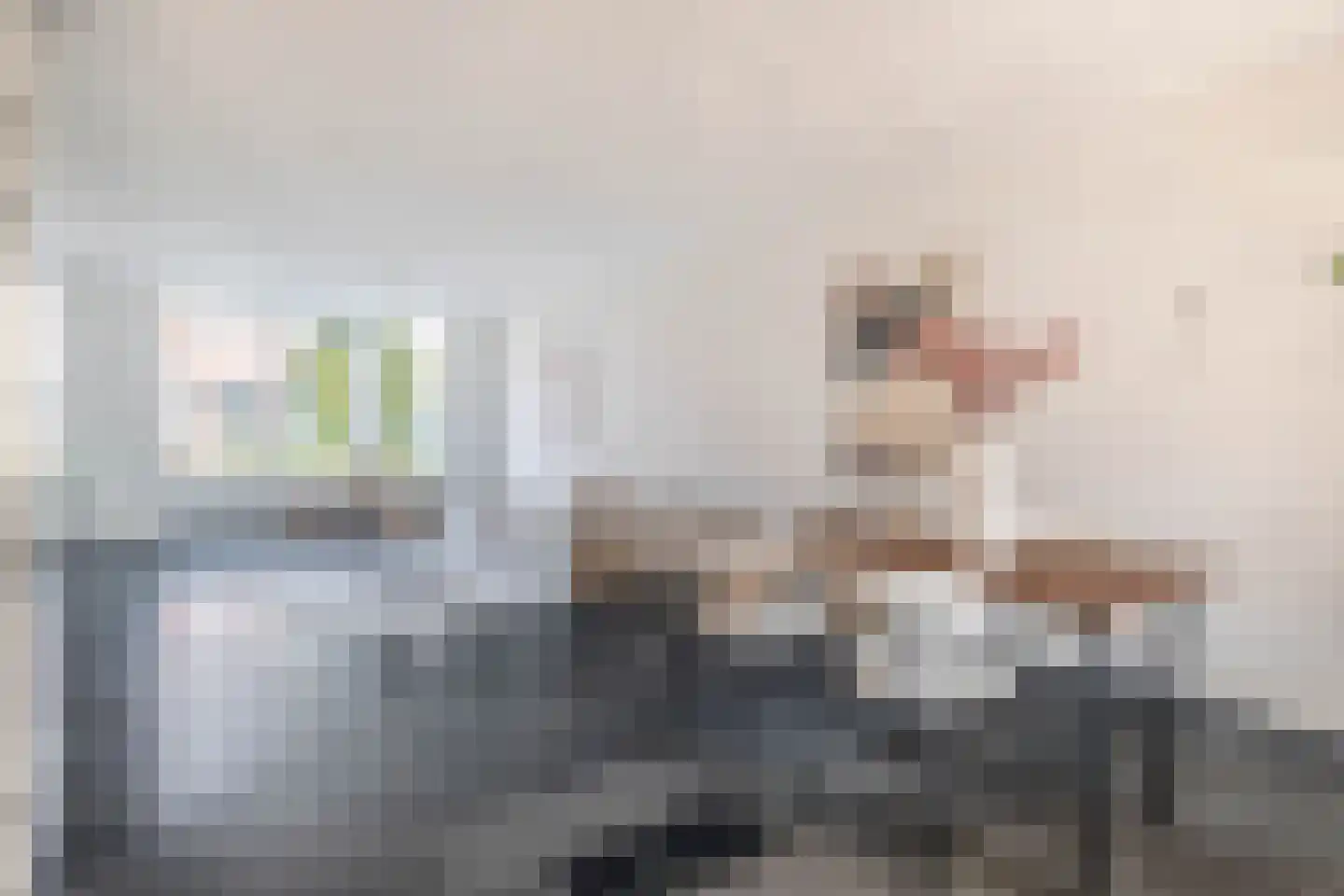 De Bariks 3 Heeswijk-Dinther thumbnail 10