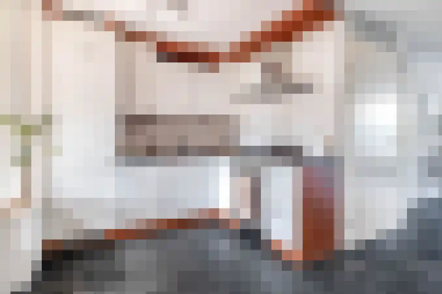 De Bariks 3 Heeswijk-Dinther thumbnail 11